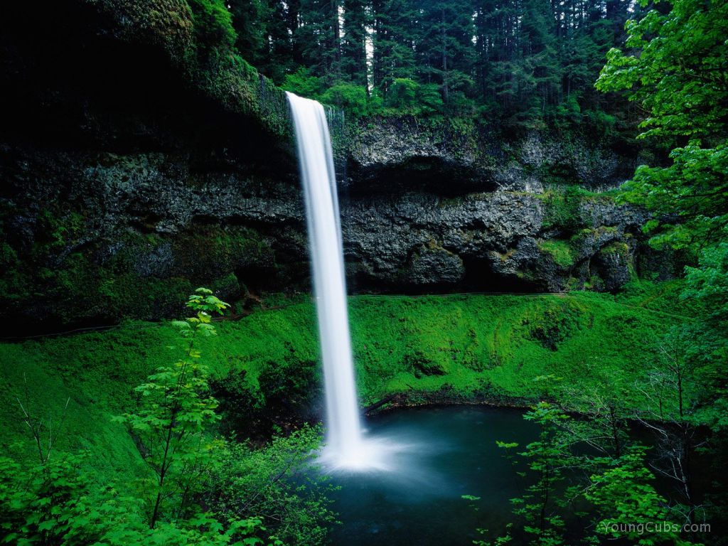 South Falls, Silver Falls State Park, Oregon